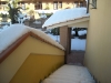 neve24