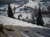 neve25