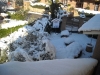 neve29
