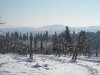 neve3