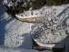 neve31