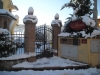 neve36