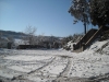 neve42