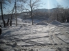 neve44