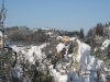 neve46