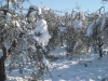 neve48