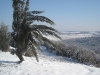 neve5
