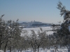 neve51