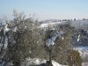neve57