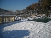 neve6
